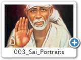 003 sai portraits